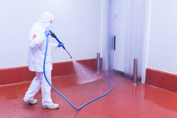 Best Rust Removal  in Collegeville, PA